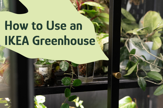 How to Use an IKEA Greenhouse (Setup, Tips & Common Mistakes)