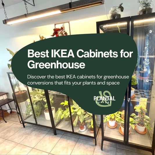 Best IKEA Cabinets for Greenhouse Conversions