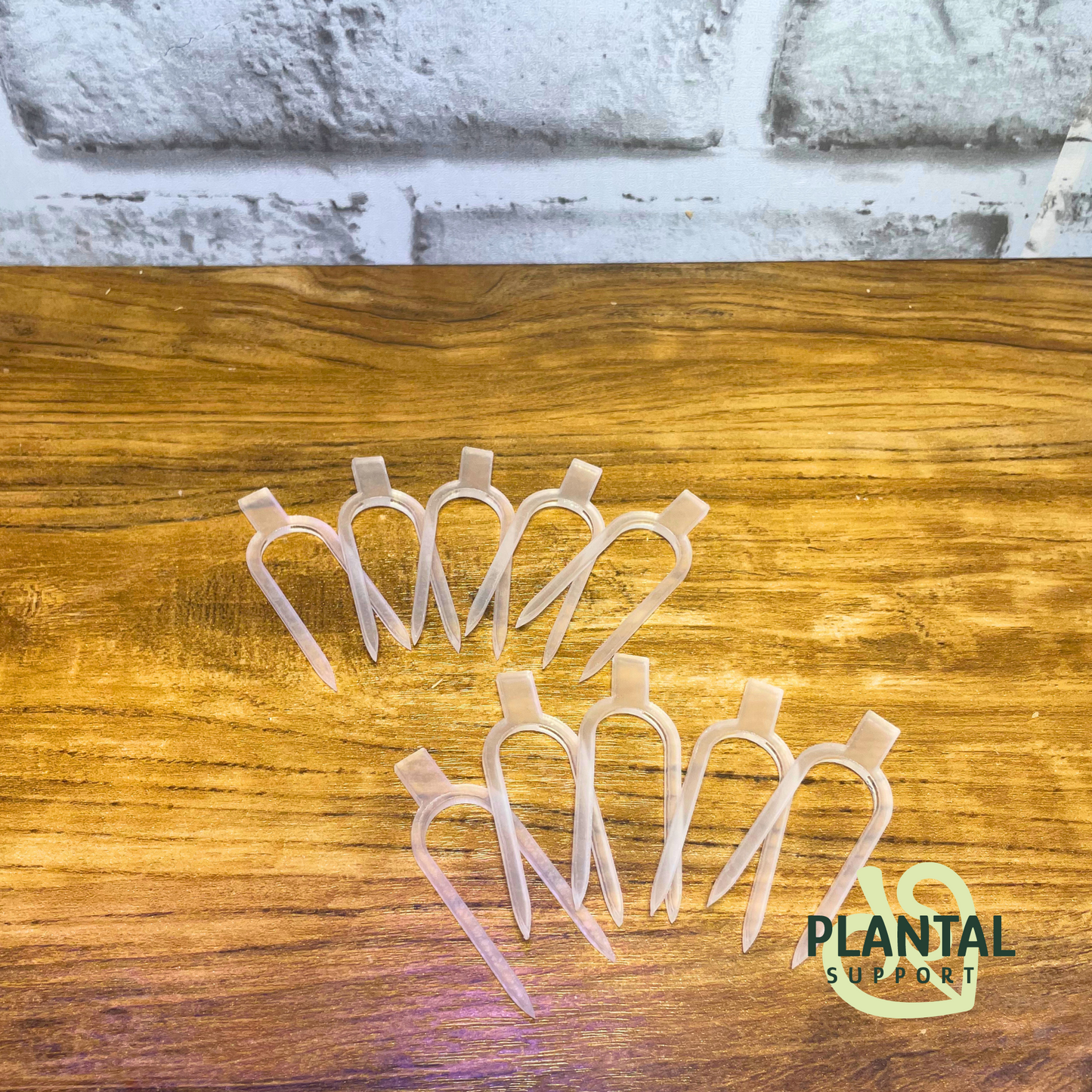 Épingles de propagation en acrylique transparent / Épingles à poteaux en mousse