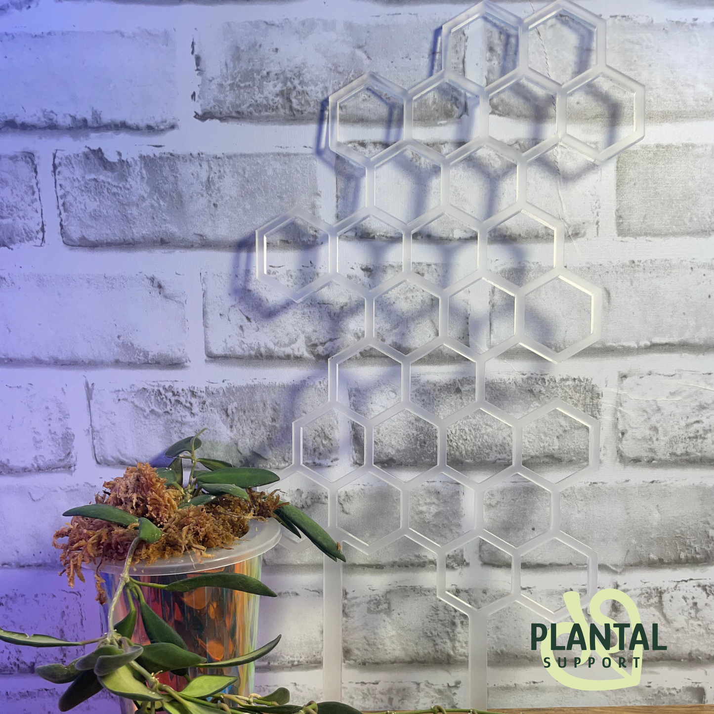 Clear Large honeycomb Trellis