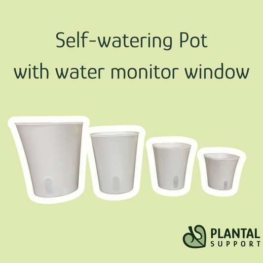 Self-watering Pot with Water Monitor Window
