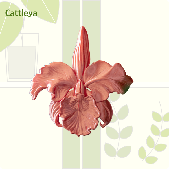 Cattleya Orchid IKEA greenhouse Handle