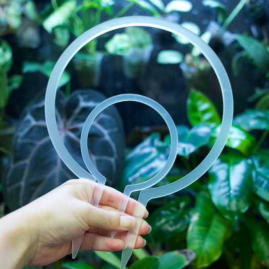 Clear Acrylic Circle Trellis Duo