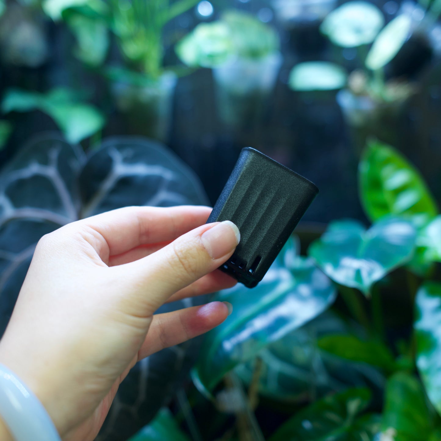 Square Plant Pot for Propagation & Growth