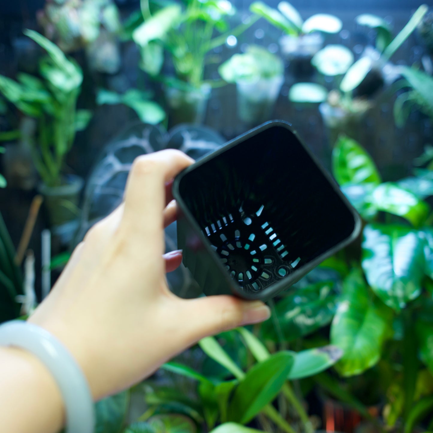 Square Plant Pot for Propagation & Growth