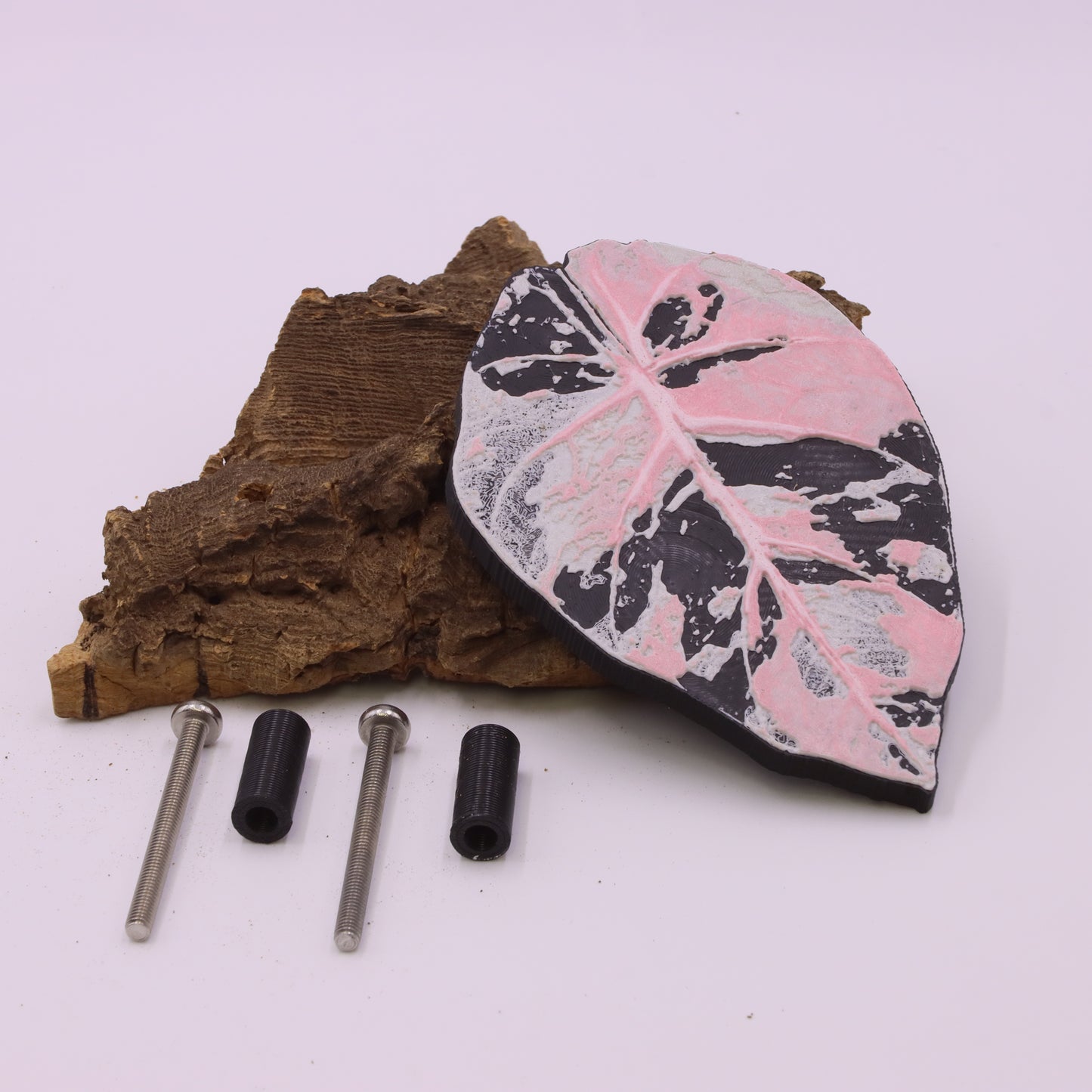 Alocasia Black Velvet Pink Variegated IKEA greenhouse Handle