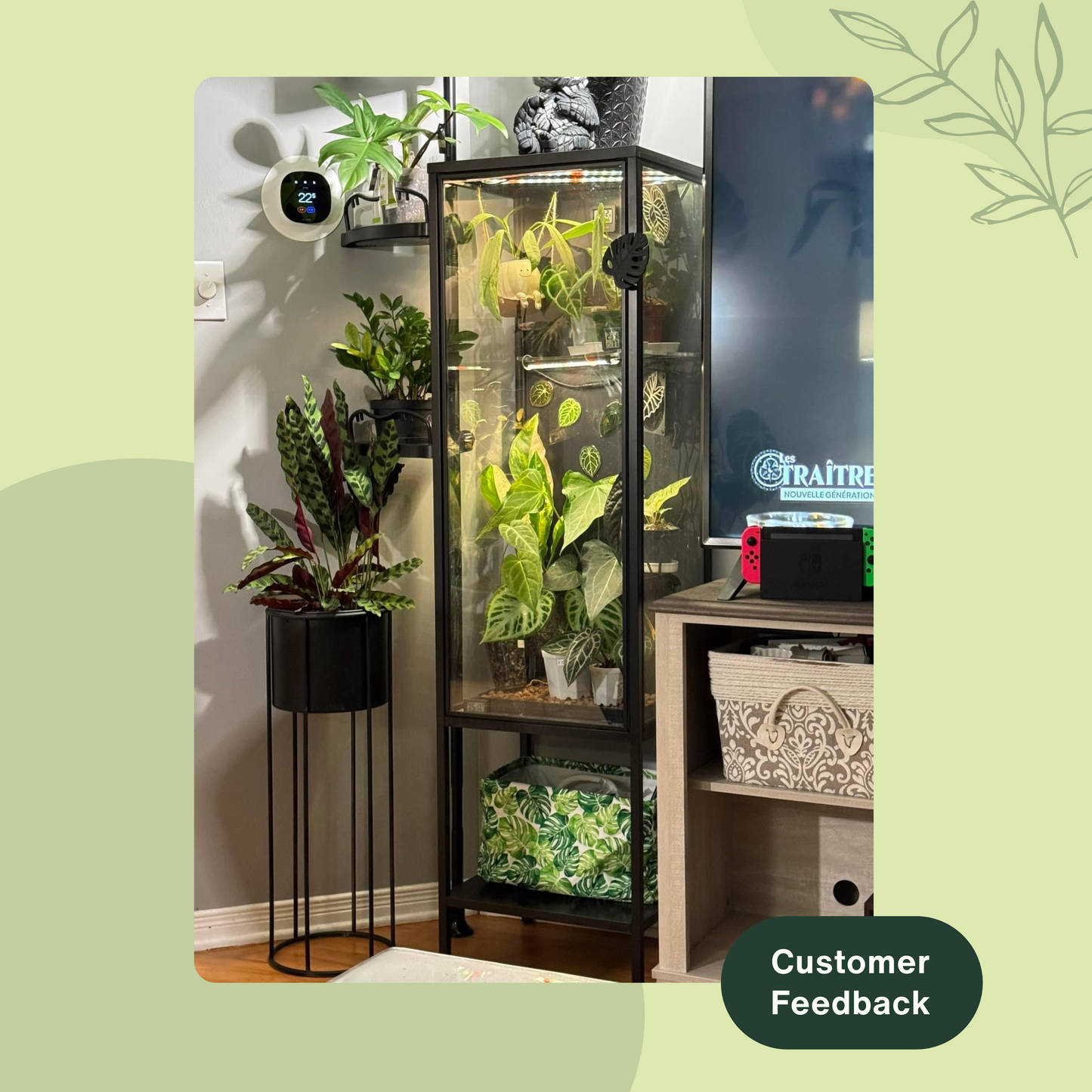 Armoire de serre haute IKEA Rudsta avec étagère en acrylique