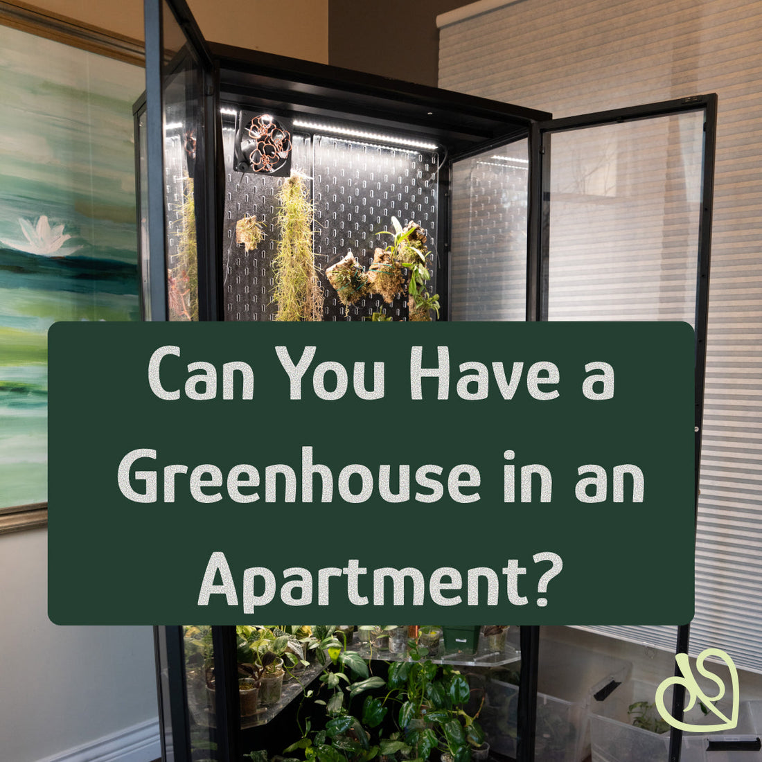 Can You Have a Greenhouse in an Apartment?