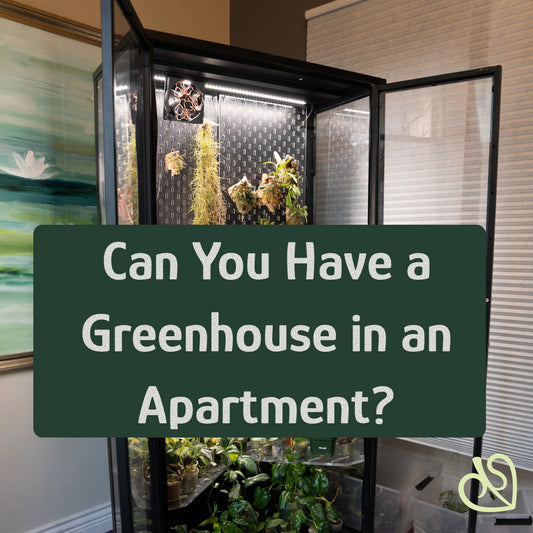 Can You Have a Greenhouse in an Apartment?