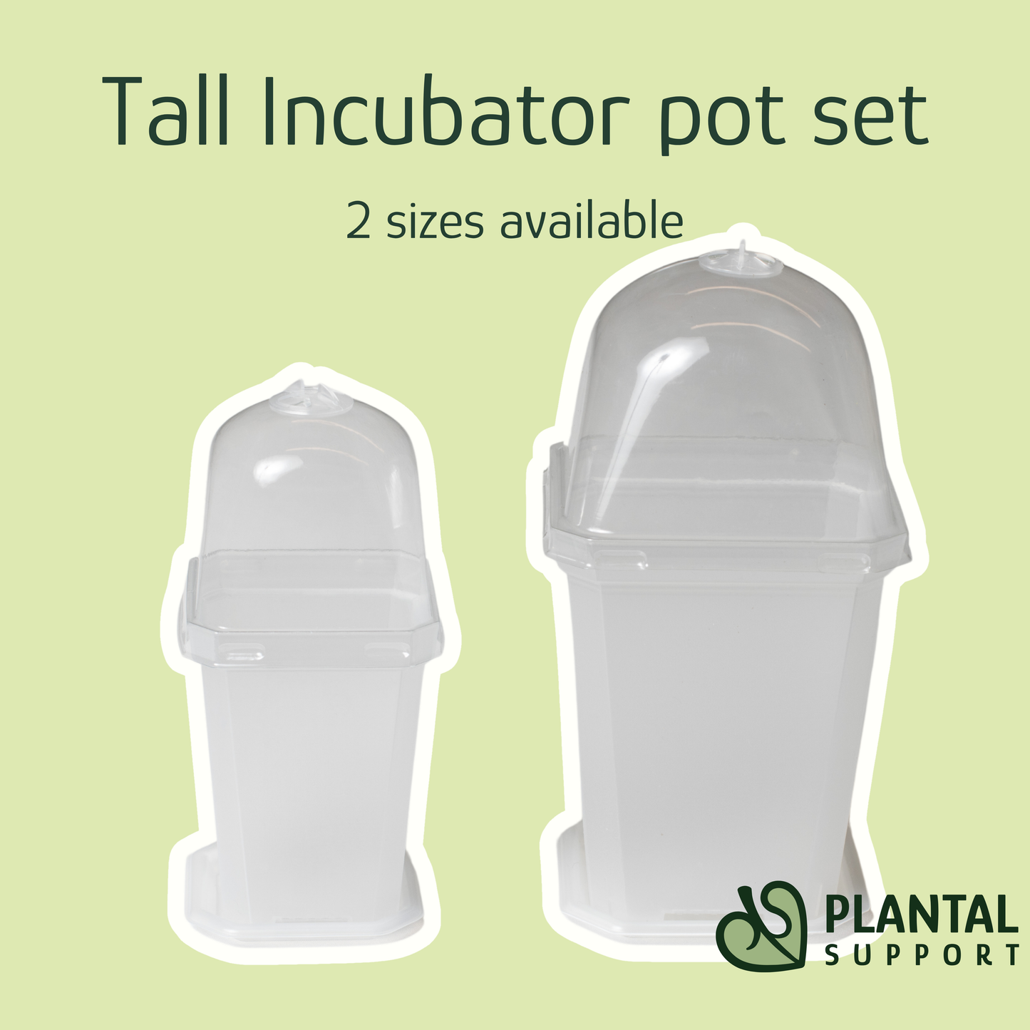 Tall Incubator pot set