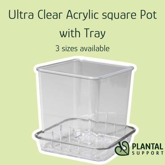 Ultra Clear Acrylic square Pot with Tray