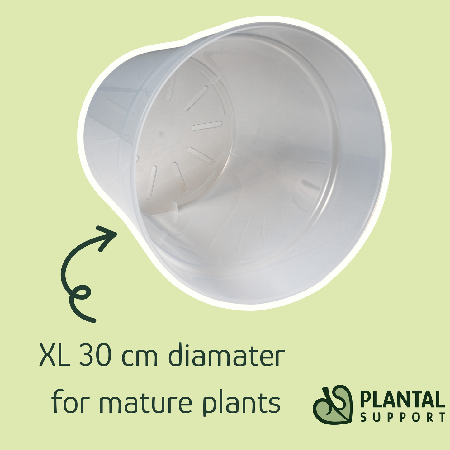 Monster size Clear Pot 12 inch (30 cm)