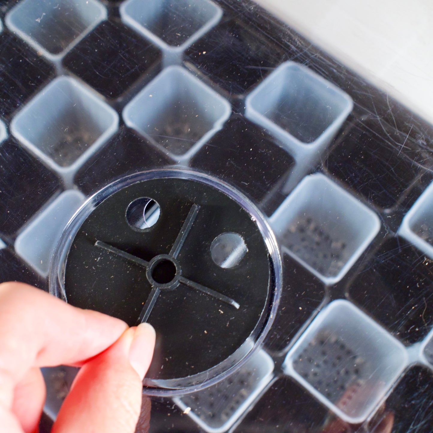 Propagation mini greenhouse Set - Fits Perfect under Milsbo