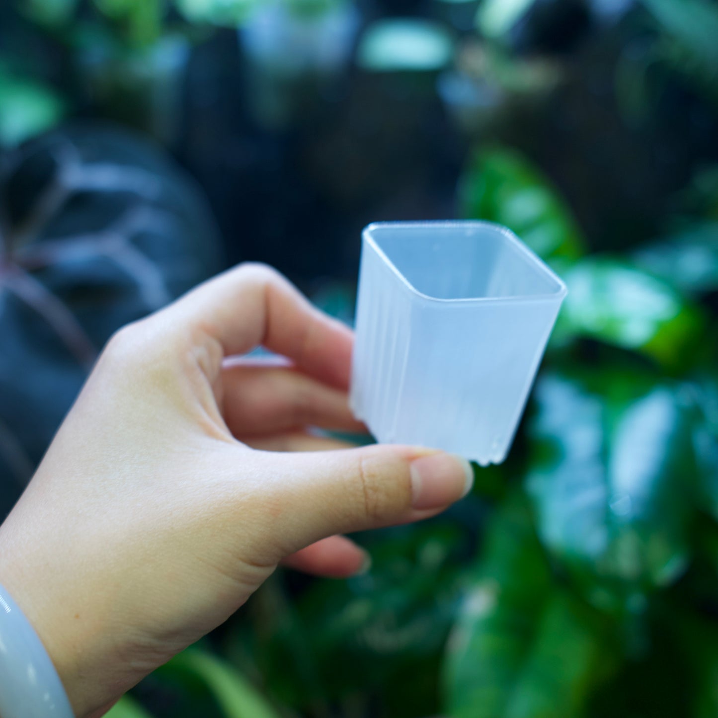 Square Plant Pot for Propagation & Growth