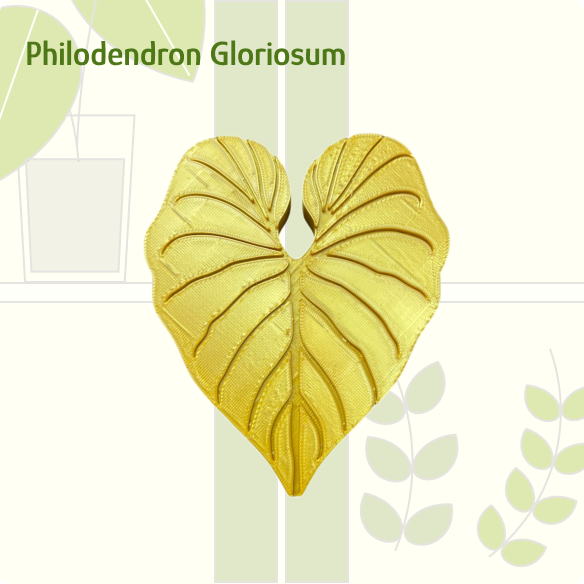 Philodendron Gloriosum IKEA greenhouse Handle