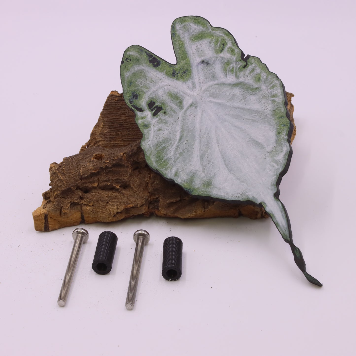 Alocasia Venom IKEA greenhouse Handle