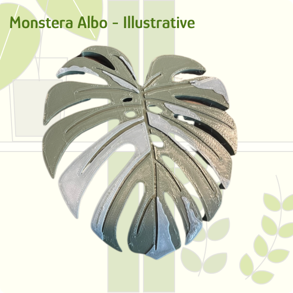 Monstera Albo (illustrative style) IKEA greenhouse Handle