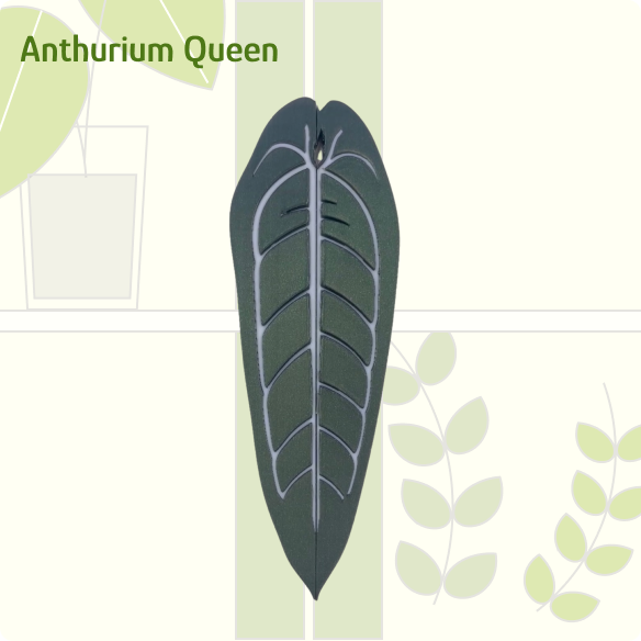 Anthurium Queen IKEA greenhouse Handle