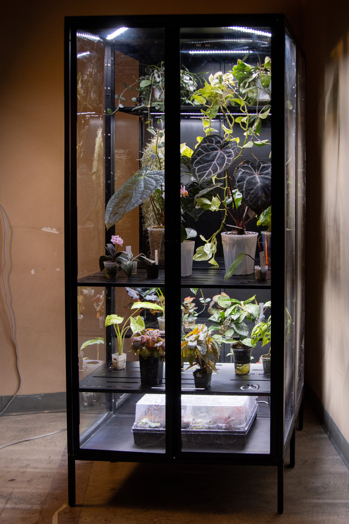 Cabinet de Serre Osiris