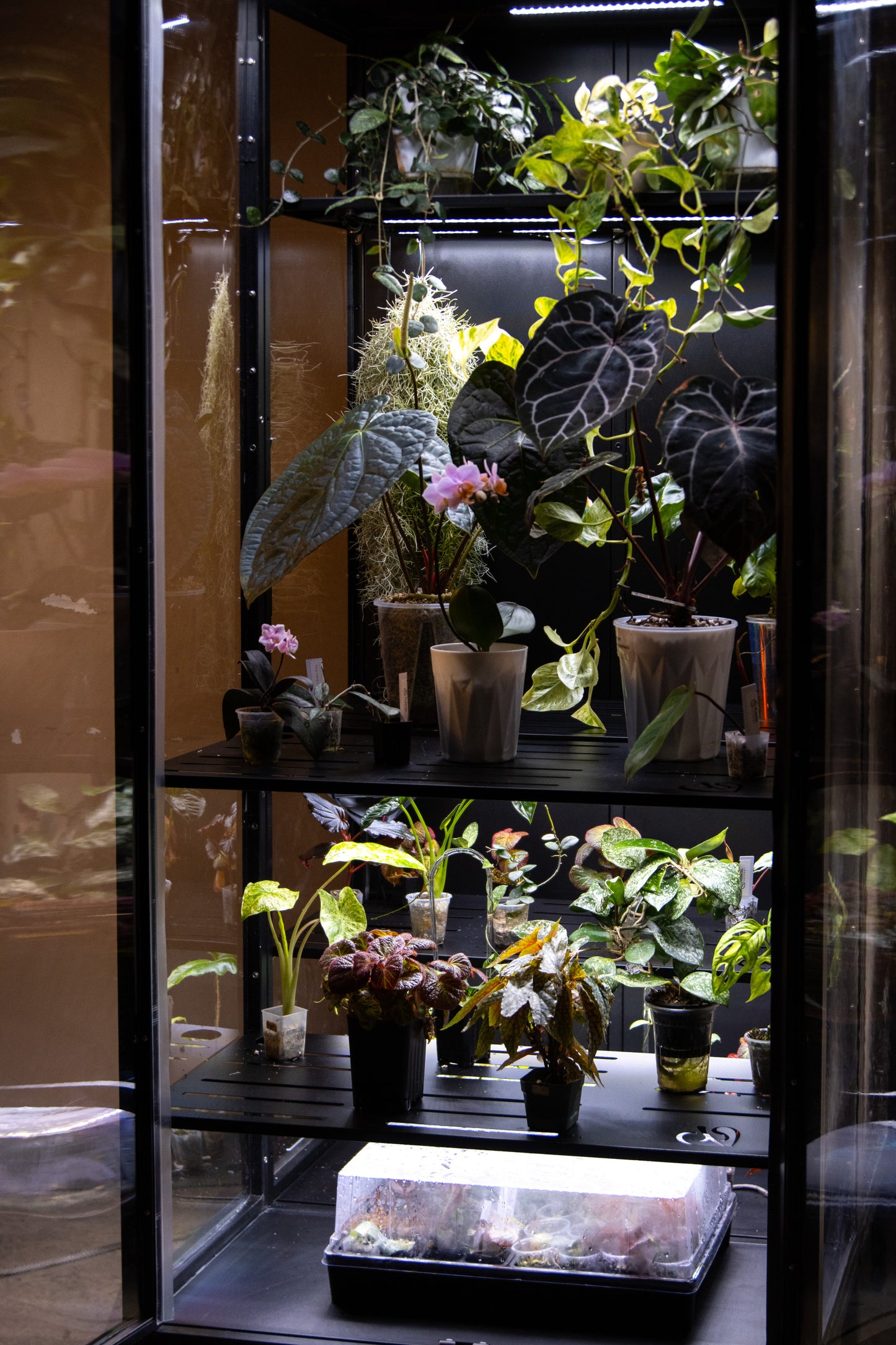 Cabinet de Serre Osiris