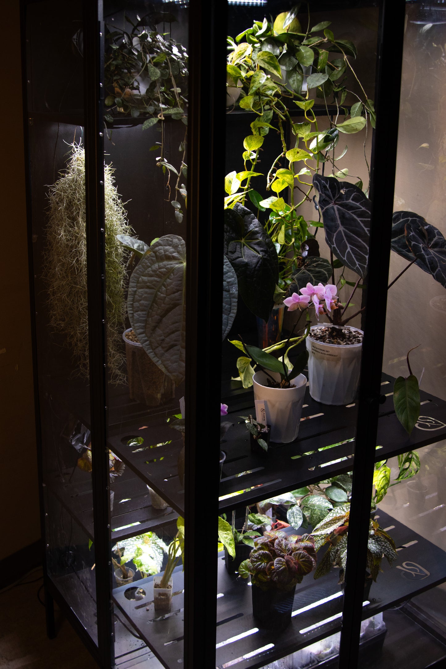 Cabinet de Serre Osiris