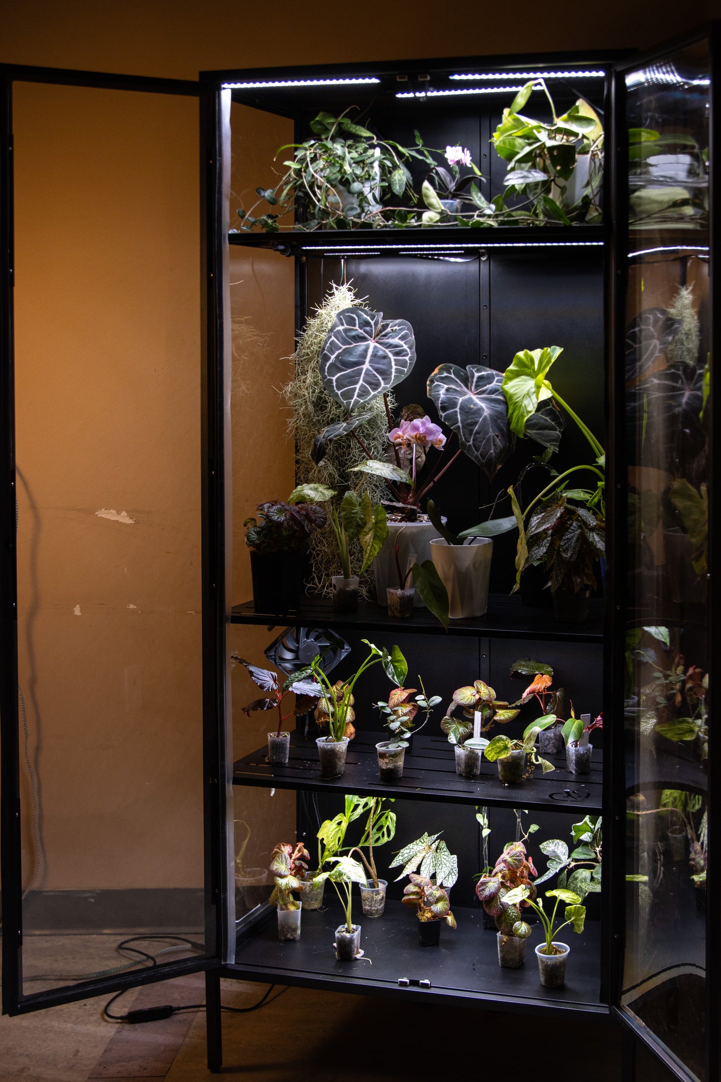 Cabinet de Serre Osiris